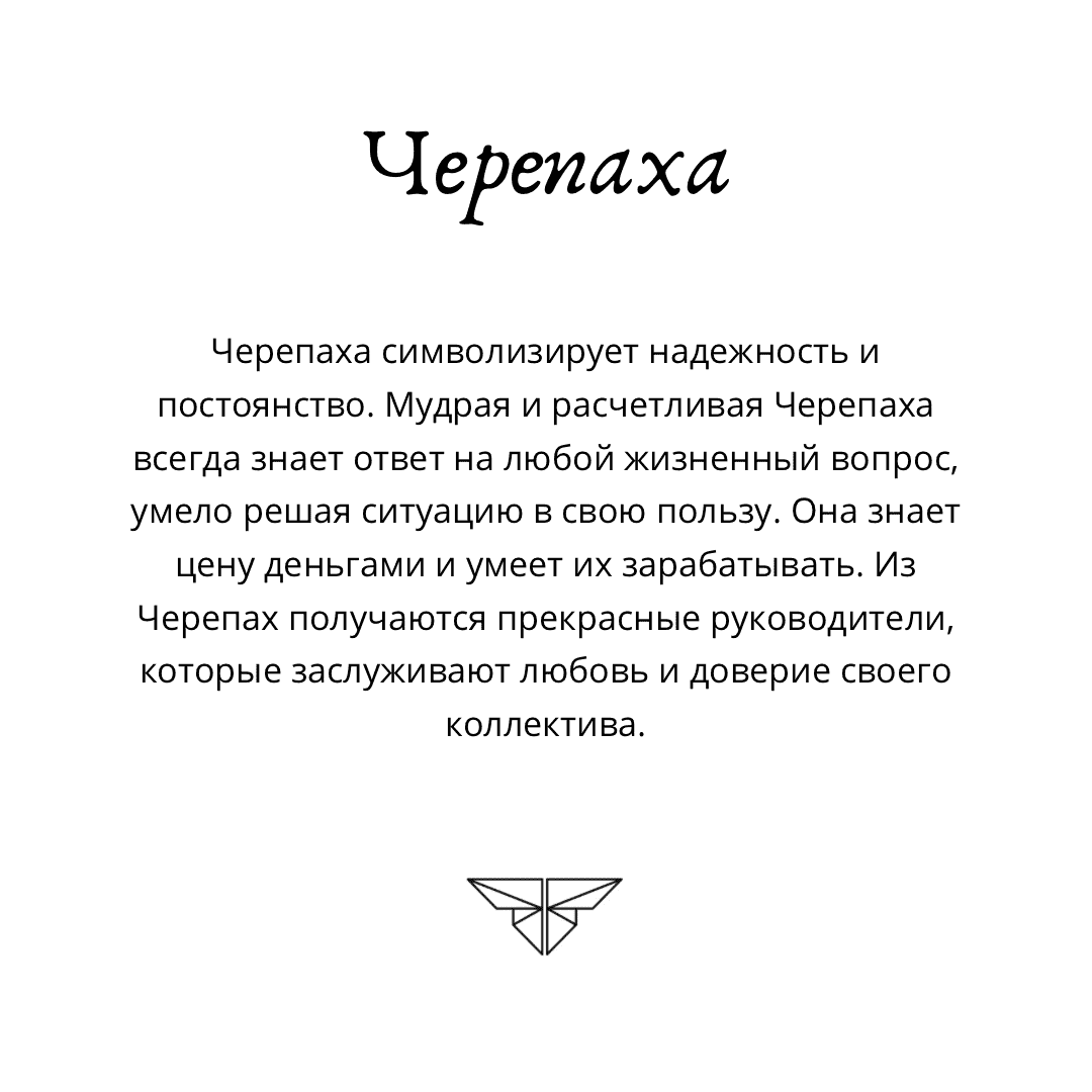 Браслет Черепаха | Мельхиор | Плетеная кожа — фото 2
