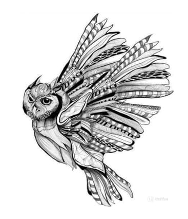 Сова