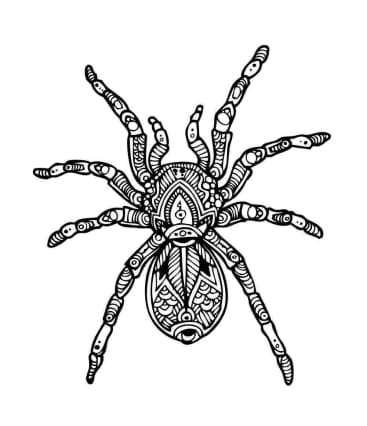 Паук
